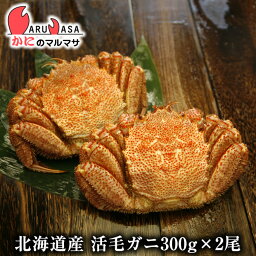 活毛がに(300g×2尾)セット あす楽対応北海道 毛蟹 毛ガニ カニ通販 道産品 母の日 ギフト 北海道産