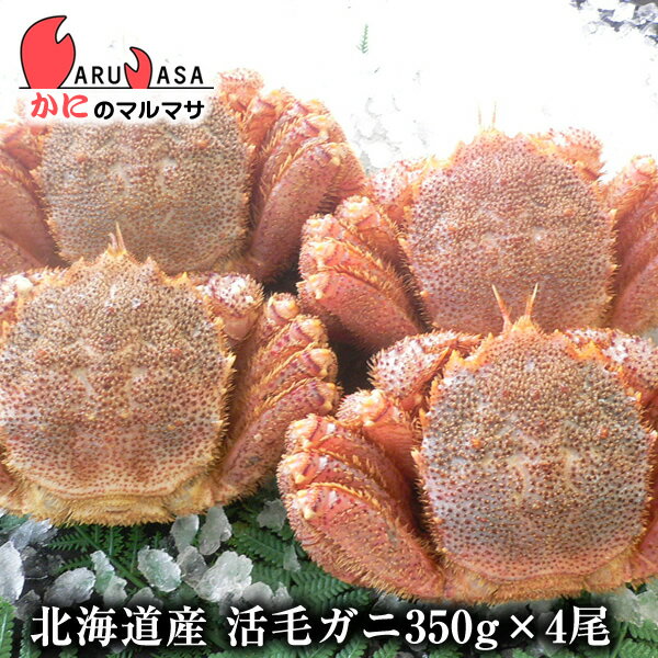 活毛がに(350g×4尾)セット あす楽対応北海道 毛蟹 毛ガニ カニ通販 道産品 母の日 ギフト 北海道産