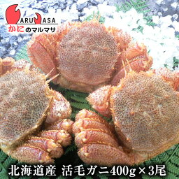 活毛がに(400g×3尾)セット あす楽 毛蟹 毛ガニ カニ通販 道産品 母の日 ギフト 北海道産