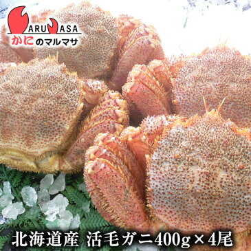 活毛がに(400g×4尾)セット あす楽 毛蟹 毛ガニ カニ通販 道産品 残暑見舞い ギフト 北海道産