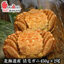 活毛がに(450g×2尾)セット 翌日便対応北海道 北海道産 毛がに 毛蟹 毛ガニ かに カニ 蟹 カニ通販 お取り寄せ通販 道産品 厳選素材 お土産 プレゼン...