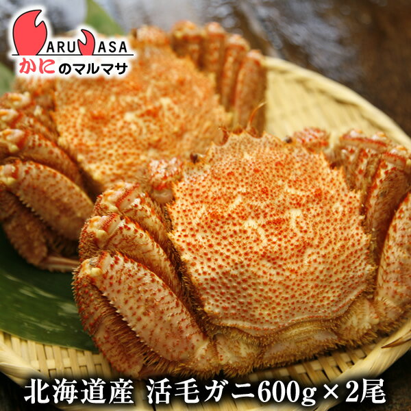 活毛がに(600g×2尾)セット あす楽対応北海道 毛蟹 毛ガニ カニ通販 道産品 お取り寄せ ギフト 北海道産