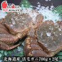 活毛がに(700g×2尾)セット 翌日便 北海道産 毛がに 毛蟹 毛ガニ かに カニ 蟹 カニ通販 特大 お取り寄せ通販 道産品 厳選素材 お土産 プレゼント ...