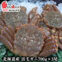 活毛がに(700g×3尾)セット あす楽 毛蟹 毛ガニ カニ通販 道産品 母の日 ギフト 北海道産