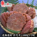 活毛がに(800g×2尾)セット 翌日便 北海道産 毛がに 毛蟹 毛ガニ かに カニ 蟹 カニ通販 特大 お取り寄せ通販 道産品 厳選素材 お土産 プレゼント ...