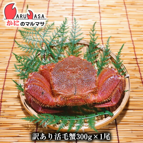 訳あり活毛がに300g 1尾 翌日便 毛ガニ 北海道産 お取り寄せ通販 道産品 厳選素材 お土産 プ ...