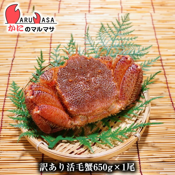 訳あり活毛がに650g 1尾 翌日便 毛ガニ 北海道産 お取り寄せ通販 道産品 厳選素材 お土産 プ ...