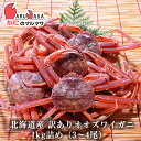 訳あり 活 オオズワイガニ 1kg詰め(3〜4尾入り)セット 翌日便対応北海道 活ズワイガニ 活ずわいがに カニ通販 北海道産 お取り寄せ通販 道産品 厳選素材...