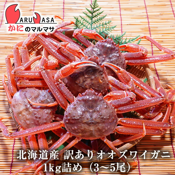 【ポイント5倍】訳あり 活 オオズワイガニ 1kg詰め(2尾入り)セット 翌日便対応北海道 活ズワイガニ 活ずわいがに カニ通販 北海道産 お取り寄せ通販 道産...