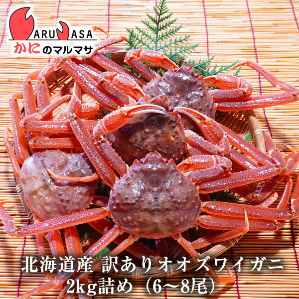 訳あり 活 オオズワイガニ 2kg詰め（6～8尾入り）セット 翌日便対応北海道 活ズワイガニ 活ずわいがに カニ通販 北海道産 お取り寄せ通販 道産品 厳選素材 お土産 プレゼント 贈り物 お取り寄せ ギフト