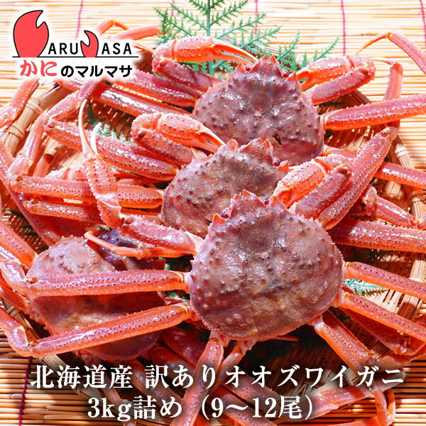 訳あり 活 オオズワイガニ 3kg詰め（9～12尾入り）セット 翌日便対応北海道 活ズワイガニ 活ずわいがに カニ通販 北海道産 お取り寄せ通販 道産品 厳選素材 お土産 プレゼント 贈り物 お取り寄せ ギフト