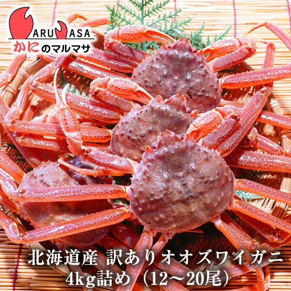 訳ありオオズワイ蟹 4kg詰め(12〜20尾入り)セット 翌日便対応北海道 活ズワイガニ 活ずわいがに カニ通販 北海道産 お取り寄せ通販 道産品 厳選素材 お土産 プレゼント 贈り物 お取り寄せ ギフト