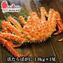 北海道産 活タラバガニ 1.0kg 活たらばがに 翌日便 カニ通販 ギフト