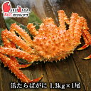 北海道産 活タラバガニ 1.3kg 活たらばがに 翌日便 カニ通販 ギフト