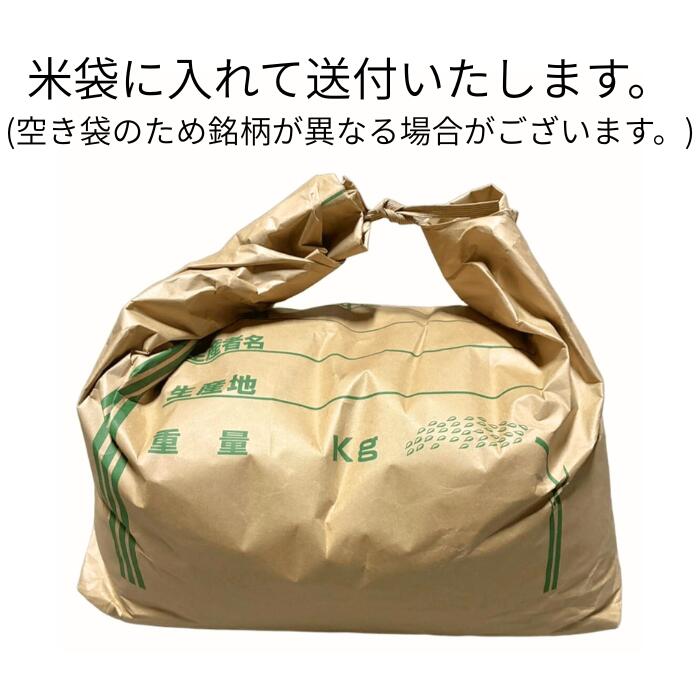 丸増【コスパ10】中粒米 新米 令和7年産 埼玉県産 コシヒカリブレンド 白米 10kg (...