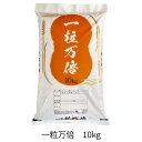 【 白米 10kg 】 産地直送 白米 10kg しっかり粒感 オリジナルブレンド 未検査米