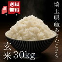 【あきたこまち玄米30kg】新米 令和7年度 埼玉県産 あきたこまち 玄米 30kg (30kg1袋) 未検査米 大粒米