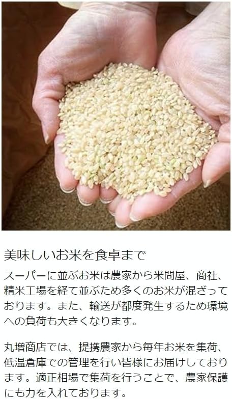 丸増【コシ白5】大粒米 新米 令和7年産 埼玉県産 コシヒカリ 白米 5kg (5kg1袋) 未検査米 色彩選別済み おいしいお米 玄米 を精米してお届け致します white rice 産地直送！