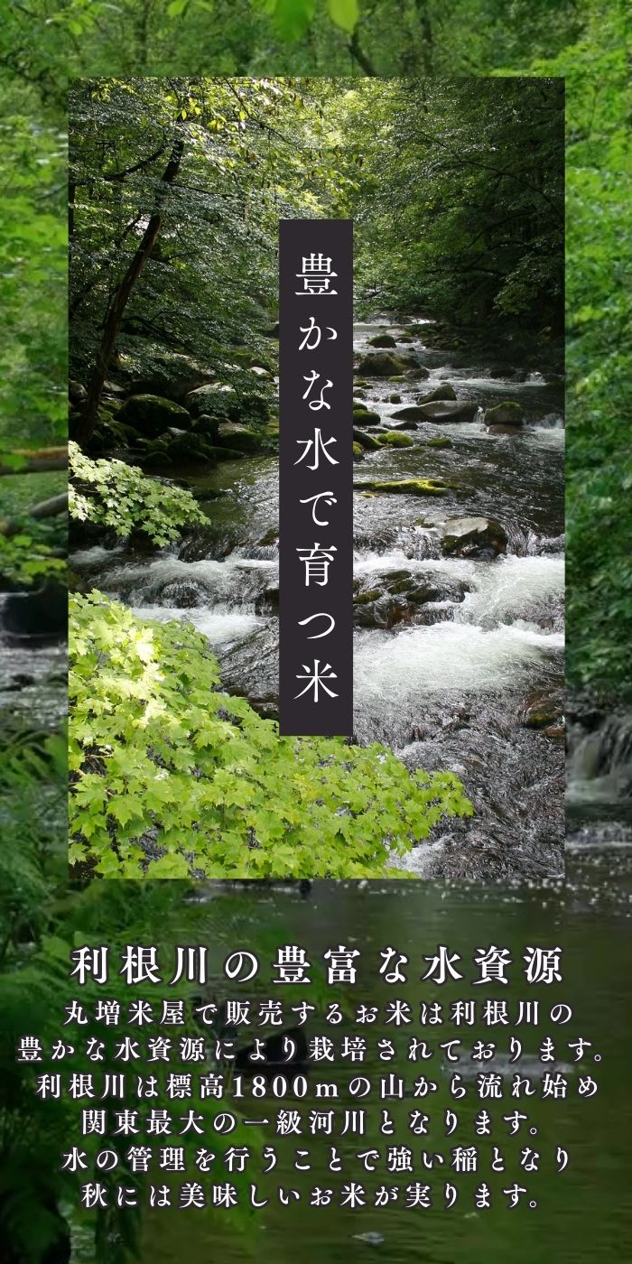 丸増【コシ白10】 大粒米 新米 令和7年産 埼玉県産 コシヒカリ 白米 10kg (5kg2袋)...