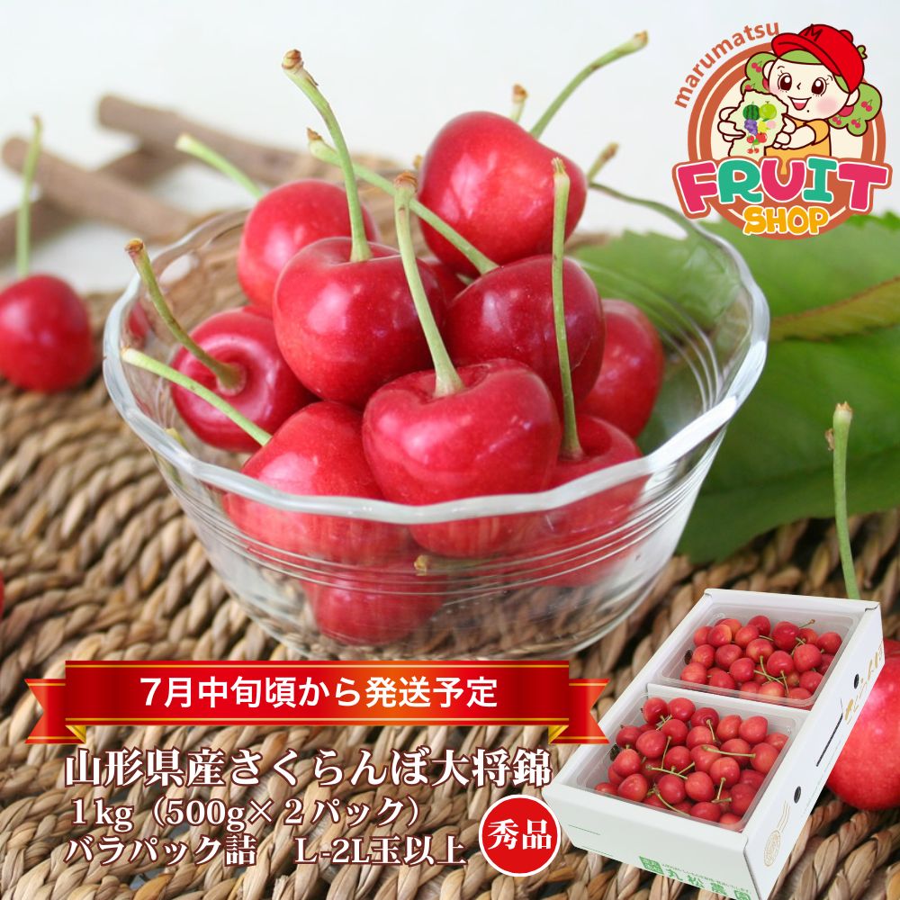 お買い物マラソン大特価！！3月中はエントリーしてポイント抽選！最大100％ポイントポイントバック！【 ...