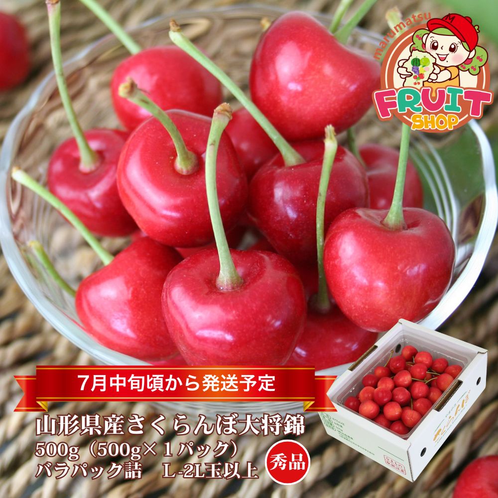 お買い物マラソン大特価！！3月中はエントリーしてポイント抽選！最大100％ポイントポイントバック！【 ...