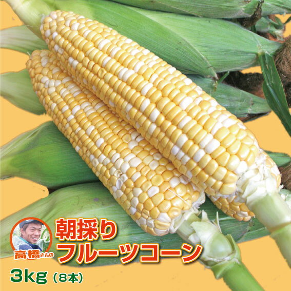 【送料無料】山形県産とうもろこし「高橋さんの朝採りフルーツコーン」3kg（8本入り） ゆめのコーン しあわせコーン トウモロコシ BBQ 楽ギフ_メッセ入力