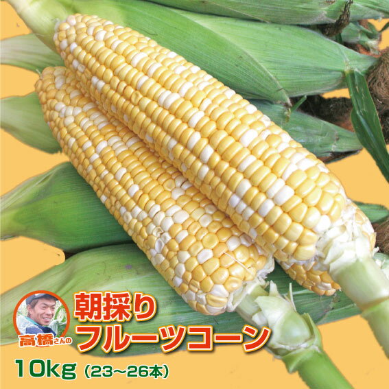 【送料無料】山形県産とうもろこし「高橋さんの朝採りフルーツコーン」10kg（23-26本入り） ゆめのコーン しあわせコーン トウモロコシ BBQ 楽ギフ_メッセ入力