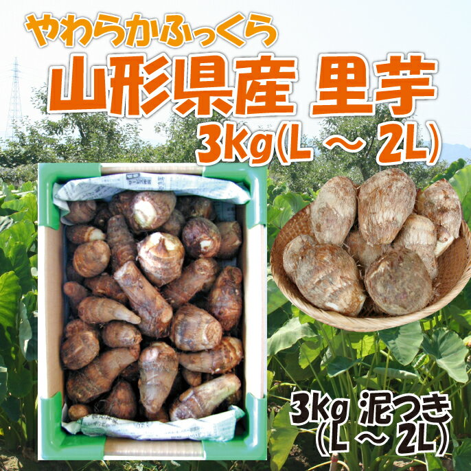 【送料無料】山形県産「里芋」3kg(L-2L大玉サイズ)泥付き 芋煮 コロッケ 楽ギフ_のし 楽ギフ_のし宛書 楽ギフ_メッセ