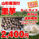【訳有り】【送料無料】山形県産泥付き「里芋」お徳用 約5kg...