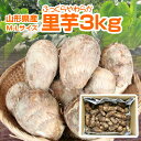 大大大特価！ 残り1個！ 早いもの勝ち！ 山形県産「里芋」3kg(M-Lサイズ) 芋煮 コロッケ 【 ...