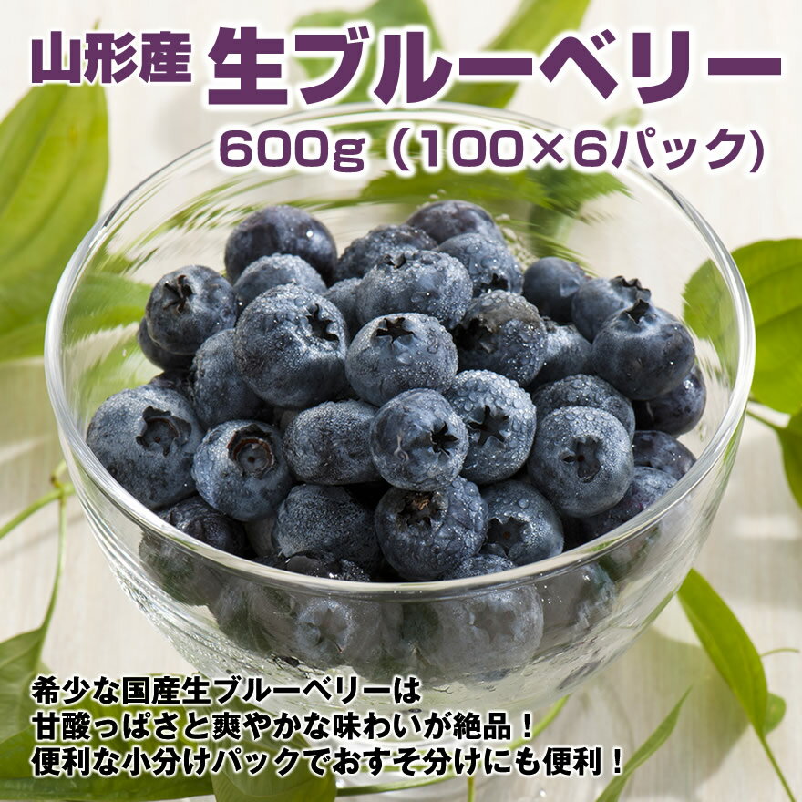 【予約】【送料無料】【お中元】凍らせてもおいしい！山形産 生ブルーベリー 600g（100g×6P） 生ブルーベリー 夏ギフト 山形 お中元 楽ギフ_のし 楽ギフ_のし宛書 楽ギフ_メッセ入力