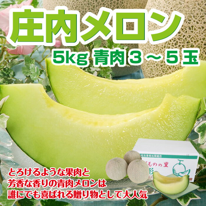 【送料無料】【お徳用】山形県産「庄内メロン」青肉5kg（3-5玉） ギフト 庄内 meron 砂丘 お中元 アンデス パンナ キスミー アニバーサリー 楽ギフ_のし 楽ギフ_のし宛書 楽ギフ_メッセ入力