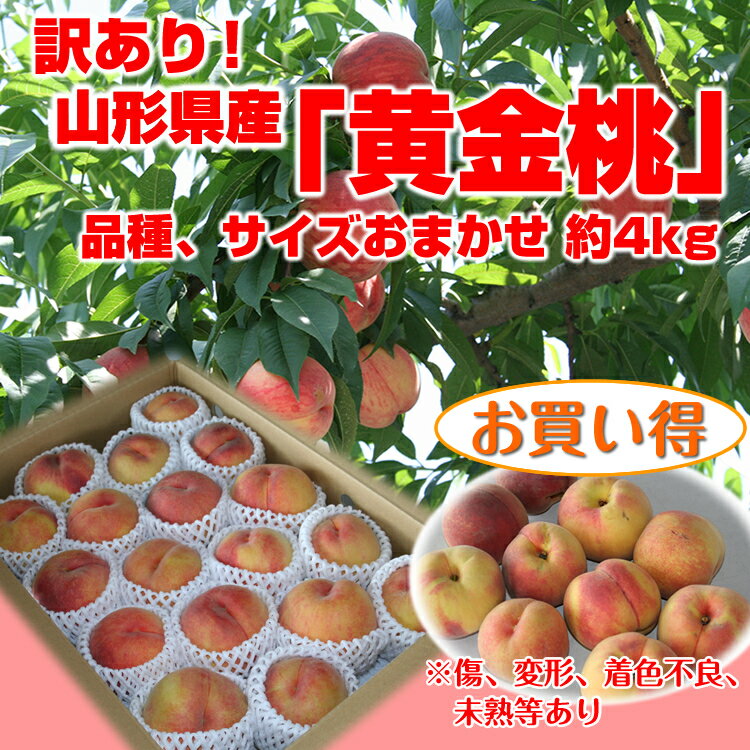 【予約】【送料無料】【訳あり】【数量限定】山形県産「黄金桃」（黄桃）品種、サイズおまかせ　約4kg ※傷、変形、着色不良、未熟等あり 【お一人様1箱まで】 【白桃との同梱不可】 【 沖縄・一部離島は受付不可 】 自家用 もも おうごんとう グルメ大賞