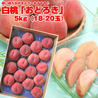 【送料無料】【硬い桃】山形県産 白桃「おどろき」5kg（12-20玉） 【沖縄・一部離...