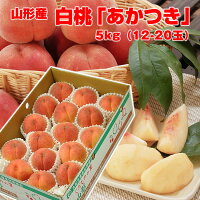 【送料無料】【ギフト】山形県産 白桃「あかつき」5kg（12-20玉） 【沖縄・一部離...