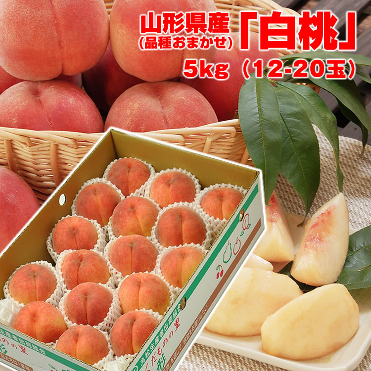 期間限定1週間30％off 送料無料 ギフト 山形の白桃　(品種おまかせ) 5kg (12-20玉) グルメ大賞 山形 桃 モモ もも momo はくとう 白桃 産直 ご贈答 楽ギフ_のし 楽ギフ_のし宛書 楽ギフ_メッセ入力のサムネイル