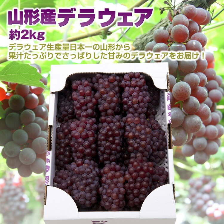 スーパーセール期間中10％off！【送料無料】山形県産ぶどう「デラウェア」約2kg L-3Lサイズ 10-16房入 種無し お盆 山形 産地直送 葡萄 残暑見舞い 楽ギフ_のし 楽ギフ_のし宛書 楽ギフ_メッセ入力