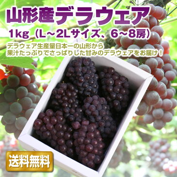 【予約】【送料無料】山形産 ぶどう デラウェア 1kg(約6-8房) 種無し お盆 山形 産地直送 葡萄 残暑見舞い 楽ギフ_のし 楽ギフ_のし宛書 楽ギフ_メッセ入力