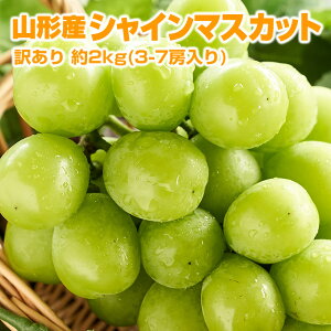 【送料無料】【訳あり】山形産大粒ぶどう「シャインマスカット」 約2kg（3-7房入り） （ 訳あり品：粒抜け キズ サビ 黄ばみ バラツキ 脱粒 等有り） 種無し ブドウ 山形 葡萄 ぶどう 産直 budo