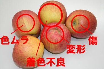 【予約】【送料無料】【訳有り】山形産徳用りんご 約10kg サイズ・品種おまかせ 規格外品 小傷色ムラ変形等あり 山形 りんご 林檎 産直 自家用