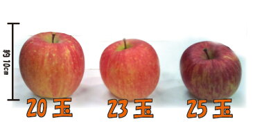 【10%OFF】【ポイント2倍】【訳あり】【送料無料】【山形県産】小玉サンふじりんご5kg(20-25玉)※小傷色ムラ変形あり 山形 りんご 林檎 サンふじ 産直 ご贈答 ギフト 楽ギフ_のし 楽ギフ_のし宛書 楽ギフ_メッセ入力