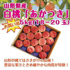 【予約】【送料無料】【ギフト】山形県産 白桃「あかつき」お徳用5kg(18-20玉) 白桃 はくとう もも グルメ大賞 楽ギフ_のし 楽ギフ_のし宛書 楽ギフ_メッセ入力