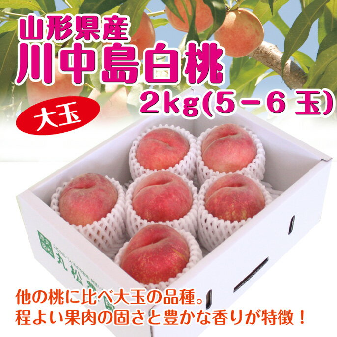 桃 送料無料 山形県産白桃「川中島白桃」大玉2kg（5-6玉） 【沖縄・一部離島は受付不可】 はくとう もも グルメ大賞 残暑見舞い 楽ギフ_のし 楽ギフ_のし宛書 楽ギフ_メッセ入力