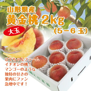 【送料無料】山形県産黄桃「黄金桃」大玉2kg（5-6玉） もも 残暑見舞い ギフト グルメ大賞 楽ギフ_のし 楽ギフ_のし宛書 楽ギフ_メッセ入力