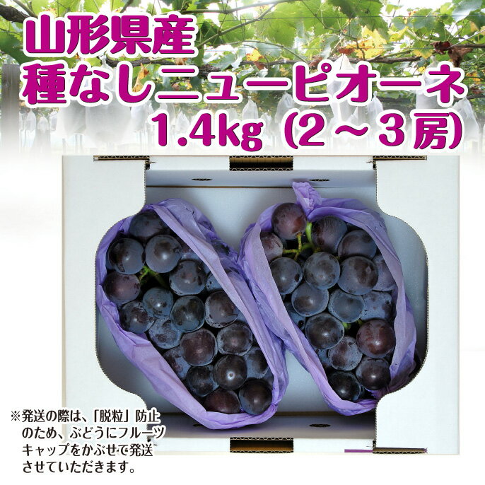 【予約】【送料無料】【ギフト】山形産大粒種無しぶどう「ニューピオーネ」1.4kg(2-3房) 山形 葡萄 ぶどう 大粒 産直 ご贈答 budo 楽ギフ_のし 楽ギフ_のし宛書 楽ギフ_メッセ入力