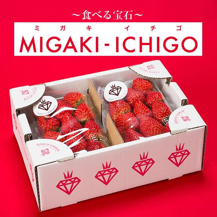 【ギフト】【送料無料】食べる宝石 宮城県産「ミガキイチゴ」約275g×2パック（Lサイズ） いちご 苺 復興支援 MIGAKI-ICHIGO 楽ギフ_のし 楽ギフ_のし宛書 楽ギフ_メッセ入力