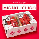 いちご 【ギフト】【送料無料】食べる宝石 宮城県産「ミガキイチゴ」約275g×2パック（Lサイズ） いちご 苺 復興支援 MIGAKI-ICHIGO 楽ギフ_のし 楽ギフ_のし宛書 楽ギフ_メッセ入力