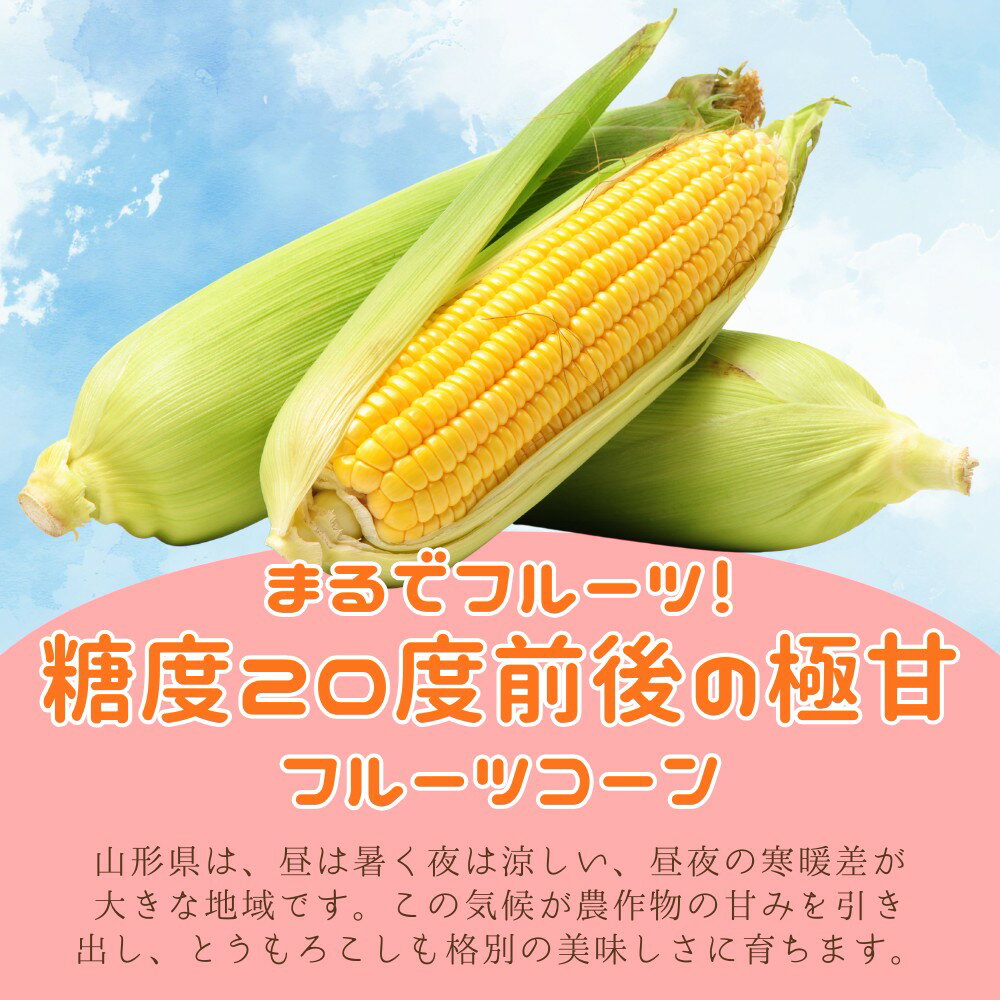 6月はずっとエントリーして当店全商品ポイント10倍！【予約】送料無料 山形県産とうもろこし「高橋さんの朝採りフルーツコーン」3kg（8本入り） ゆめのコーン しあわせコーン トウモロコシ BBQ 楽ギフ_メッセ入力 marumatsu-10001140 ひでちゃんファーム丸松農園 サンプル画像2