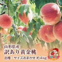 【送料無料】【訳あり】【数量限定】山形県産「黄金桃」（黄桃）品種、サイズおまかせ　約4kg ※傷、変形、着色不良、未熟等あり 【お一人様1箱まで】 【白桃との同梱不可】 【 沖縄・一部離島は受付不可 】 自家用 もも おうごんとう グルメ大賞