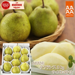 【前払い不可】【ギフト】【送料無料】山形県産洋梨「ラ・フランス」3kg（サイズおまかせ） 山形 西洋梨 ラフランス ようなし younasi 産直 ご贈答 楽ギフ_のし 楽ギフ_のし宛書 楽ギフ_メッセ入力